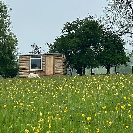 Off Grid Shepherds Hut Hotell Llansilin Eksteriør bilde