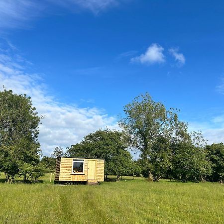 Off Grid Shepherds Hut Hotell Llansilin Eksteriør bilde