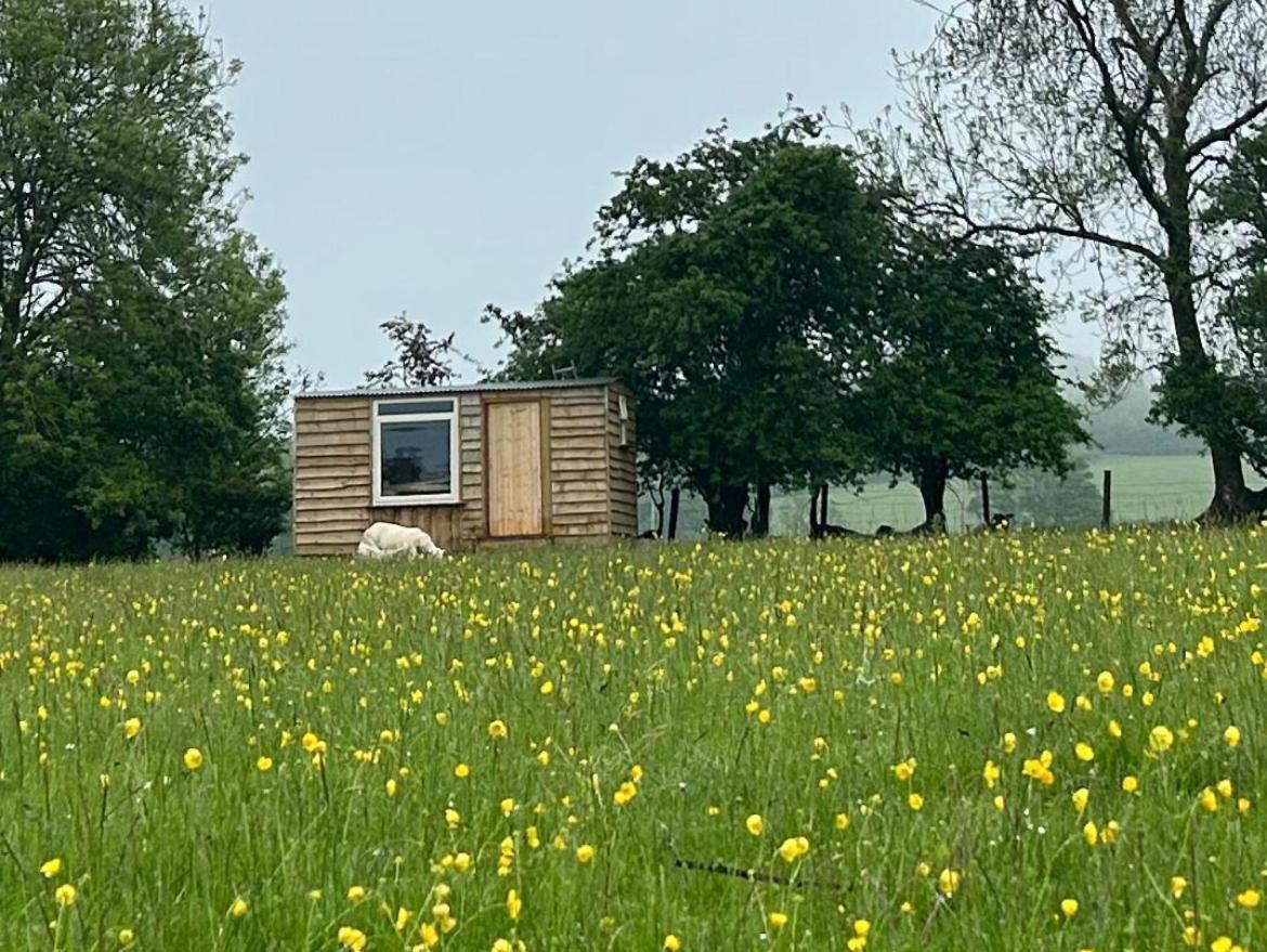 Off Grid Shepherds Hut Hotell Llansilin Eksteriør bilde