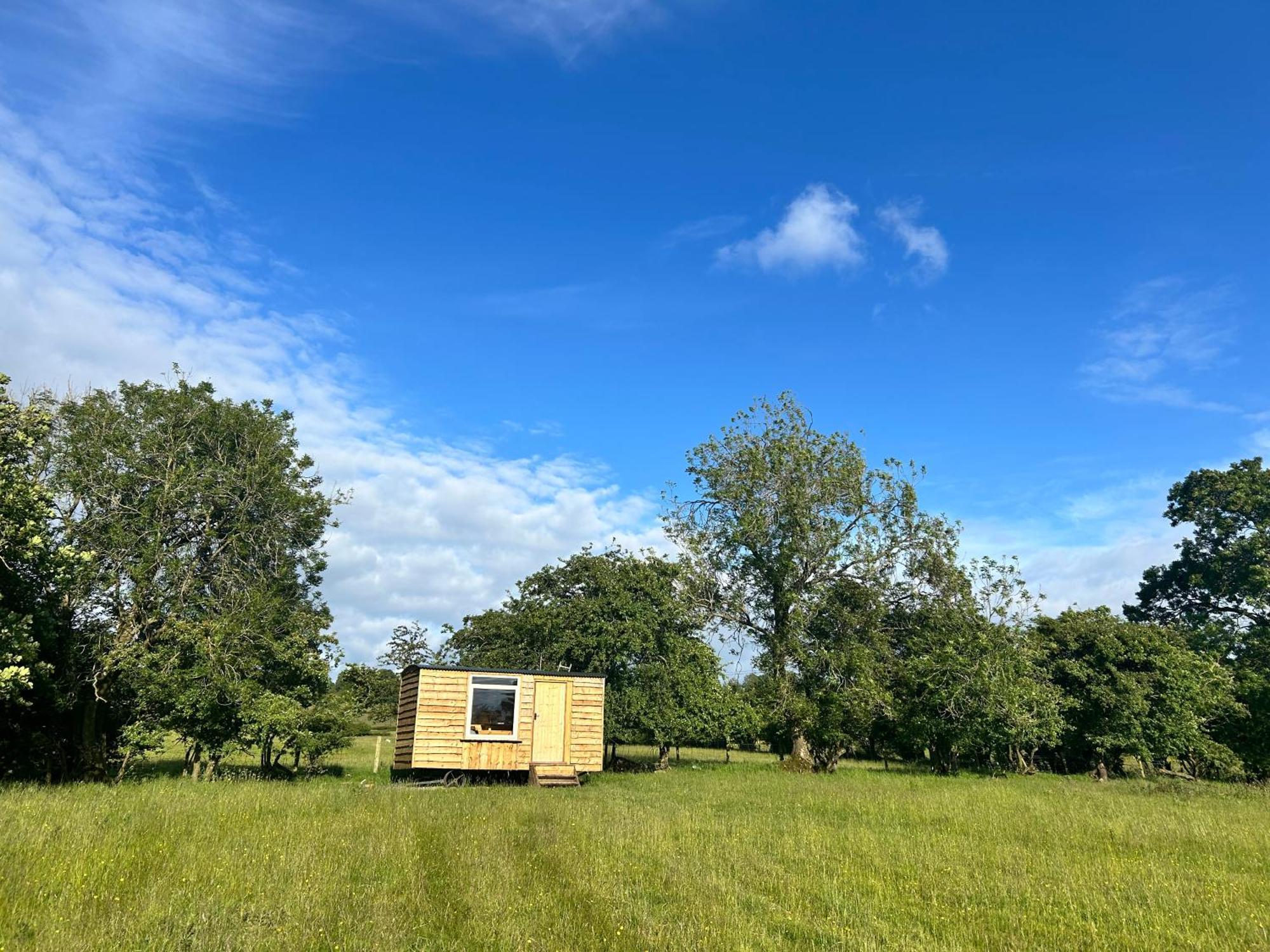 Off Grid Shepherds Hut Hotell Llansilin Eksteriør bilde